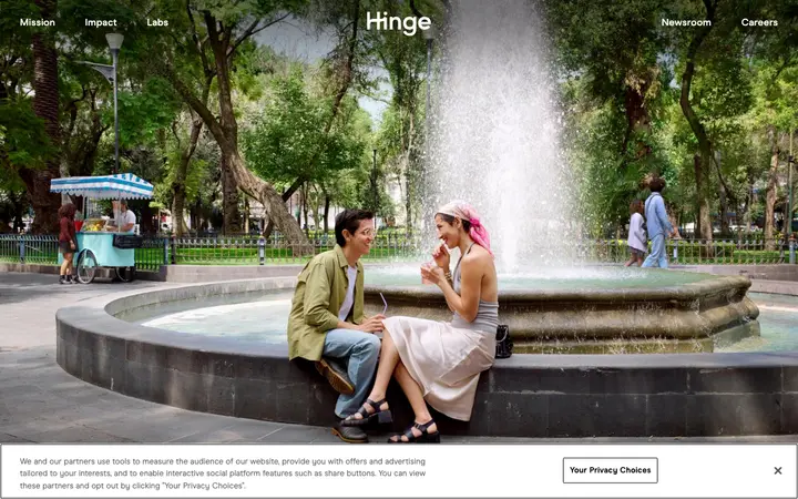 Hinge 网站截图
